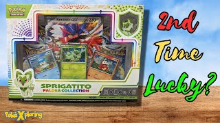 Opening the Sprigatito Box AGAIN!!!! #pokemon #opening #pokemontgc