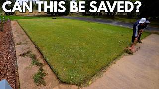 Can we fix all the issues with this Lawn?