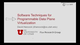 Software Techniques for Programmable Data Plane Virtualization