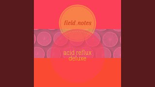 acid reflux deluxe