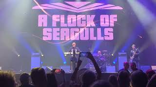 Flock of Seagulls - The More You Live The More You Love - Lost 80s Live - Niagara Falls - Aug 8/25