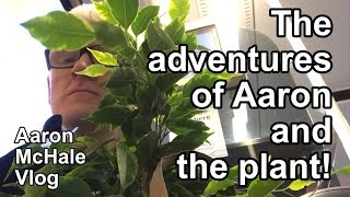 The adventures of Aaron and the plant! – Aaron McHale Vlog