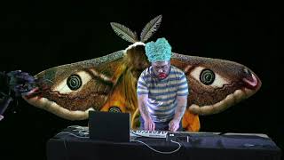 Moth TV Showreel