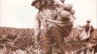 George Taffs' Migration Video
