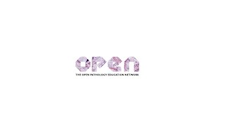 OPEN Mentoring Session- Gyn-4 Aug'25
