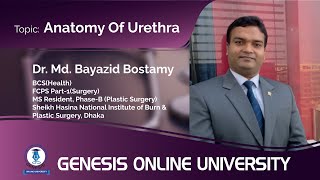 Anatomy Of Urethra || Anatomy || Dr. Md. Bayazid Bostamy || GENESIS ONLINE UNIVERSITY