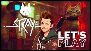 A purrfect game! | Stray
