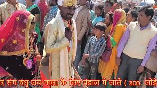 Jay Bageshwar Dham Sarkar Bala Ji Sarkar 300 Kanya Vivah Divya Bhavya Mohotsab Samaharo 