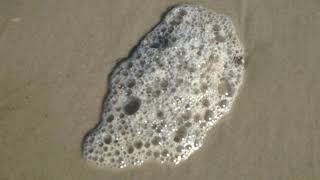 Sea Foam