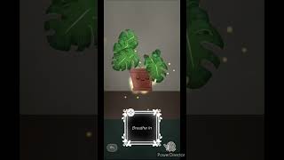 A Kinder World Episode 8