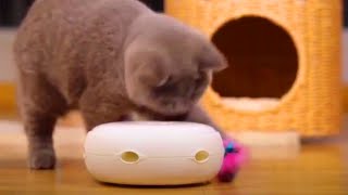 Awesome Pet Toys & Gadgets (That Are At Supreme Level)