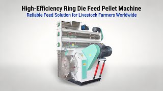 Feed Pellet Machine & Complete Feed Pellet Production Line | Efficient Animal Feed Solutions