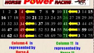 Video KIng Bingo Racing 2 of 2