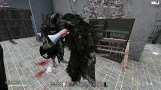 dayz clip