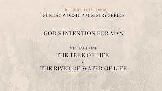 God's Intention For Man (8/23/2020): "The Tree of Life and the River Signifying God as Life to Man"