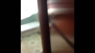 Hi