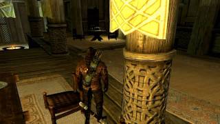 SKYRIM - Arnold Schwarzenegger Voice [HD]