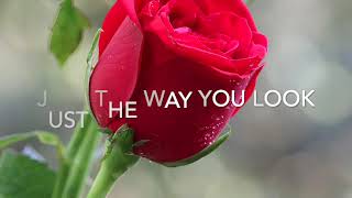 The Way You Look Tonight   SD 480p