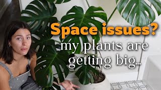 Repotting & purging my overgrown plants | managing my growing collection…houseplant care day vlog 