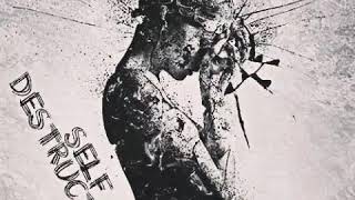 Badoe - Self Destruction (Freestyle)