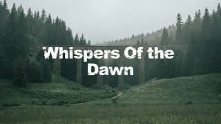 Whisper of the Dawn - peaceful piano & rain sounds for a cozy morning