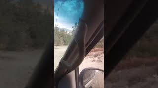 San Bernardino National Forest Route 2N34X