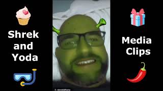 Shrek and Yoda Filter - Instagram Reels