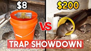 Cheap vs Expensive Rat & Mouse Trap!