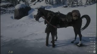 Red Dead Redemption 2_20251209132724