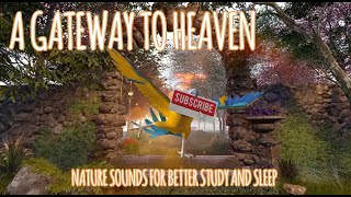 🎹 A Gateway to Heaven | Music and Nature Sounds for Inner Peace and Sleep | Meditative Ease