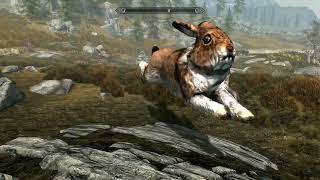 Do one will believe him back in the wolf den… 