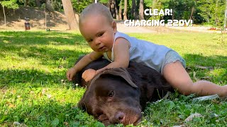 Hilarious Reaction! My Baby's Funny Attempt to Get Our Dog Up!