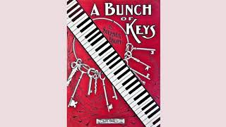 A Bunch Of Keys 1907 Composition 1920s Melodee Player Piano Roll