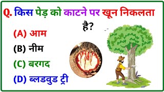 GK Question || GK In Hindi || GK Question and Answer || GK Quiz || BRAIN BOOSTER || 12