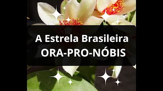 ORA-PRO-NÓBIS - PARA QUE SERVE | CHÁ | ALIMENTO ❤