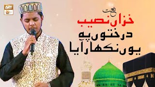 Khizan Naseeb Darakhton Pe Youn Nikhar Aya | Naat | Muhammad Taha Qadri