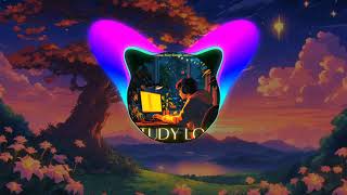 January 13 ,2025 lo-fi song