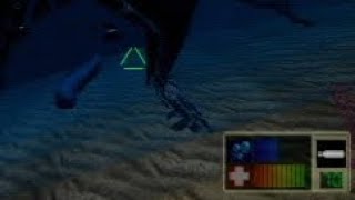 Unused demo (with small moray eel)