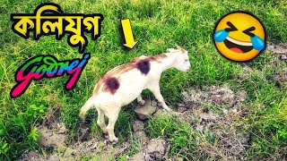 আজকাল ছাগলও Godrej মাখছে 🤣🤣 কলিযুগে সব সম্ভব 😀😀