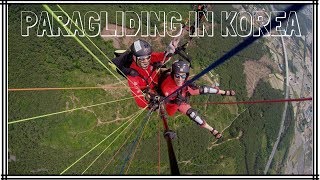Wild Paragliding in South Korea