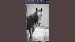 Turn Any Black & White Image into Fully Colorful Image. | Adobe Photoshop