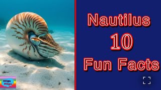 10 Fun Facts about Nautilus #animals #nautilus #animalfacts #animallife