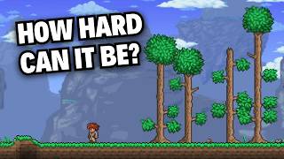 Beating Terraria Hardcore on My First Try
