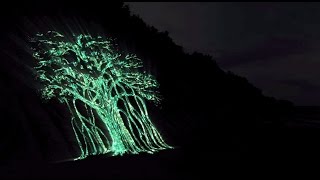 Digital Stone