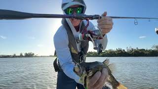 Catching Australian bass on Samurai Infinite Rods