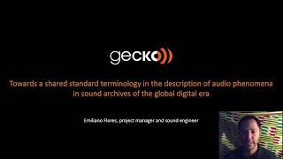 The terminology of audio flaws in digital sound archives
