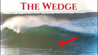 we should’ve listened to the WEDGE LOCALS…