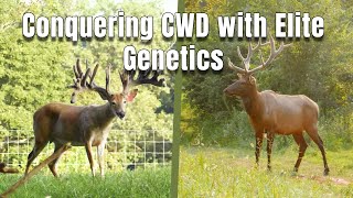Woodard Whitetails: Conquering CWD with Elite Genetics