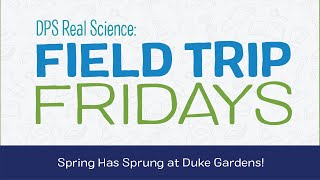 FTF 26 Spring Has Sprung at Duke Gardens! HD