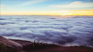 The Dakotas   The Millionaire 1963 45rpm Original